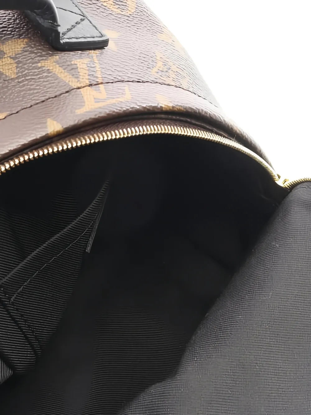 2021s Mini Palm Springs Monogram Backpack