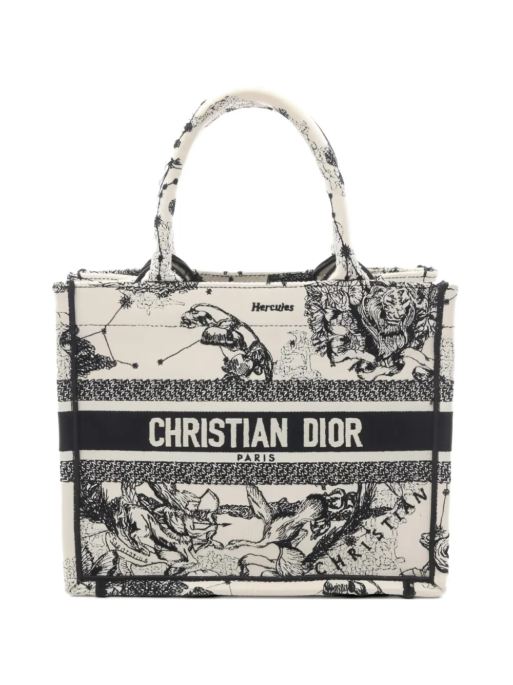 Christian Dior Pre-Owned small Dior Book Tote canvas handbag - Bianco