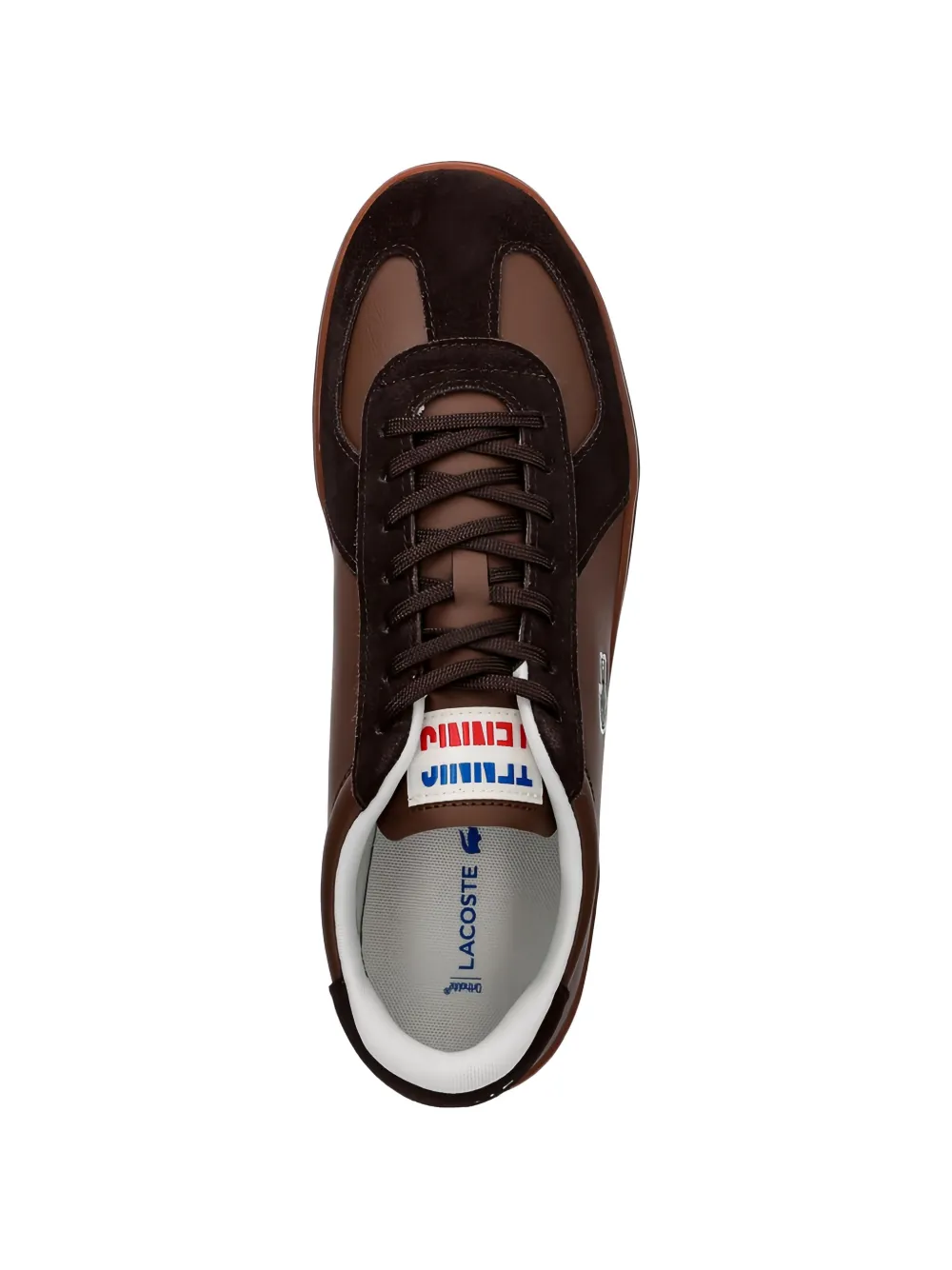 Lacoste Low-top sneakers Bruin