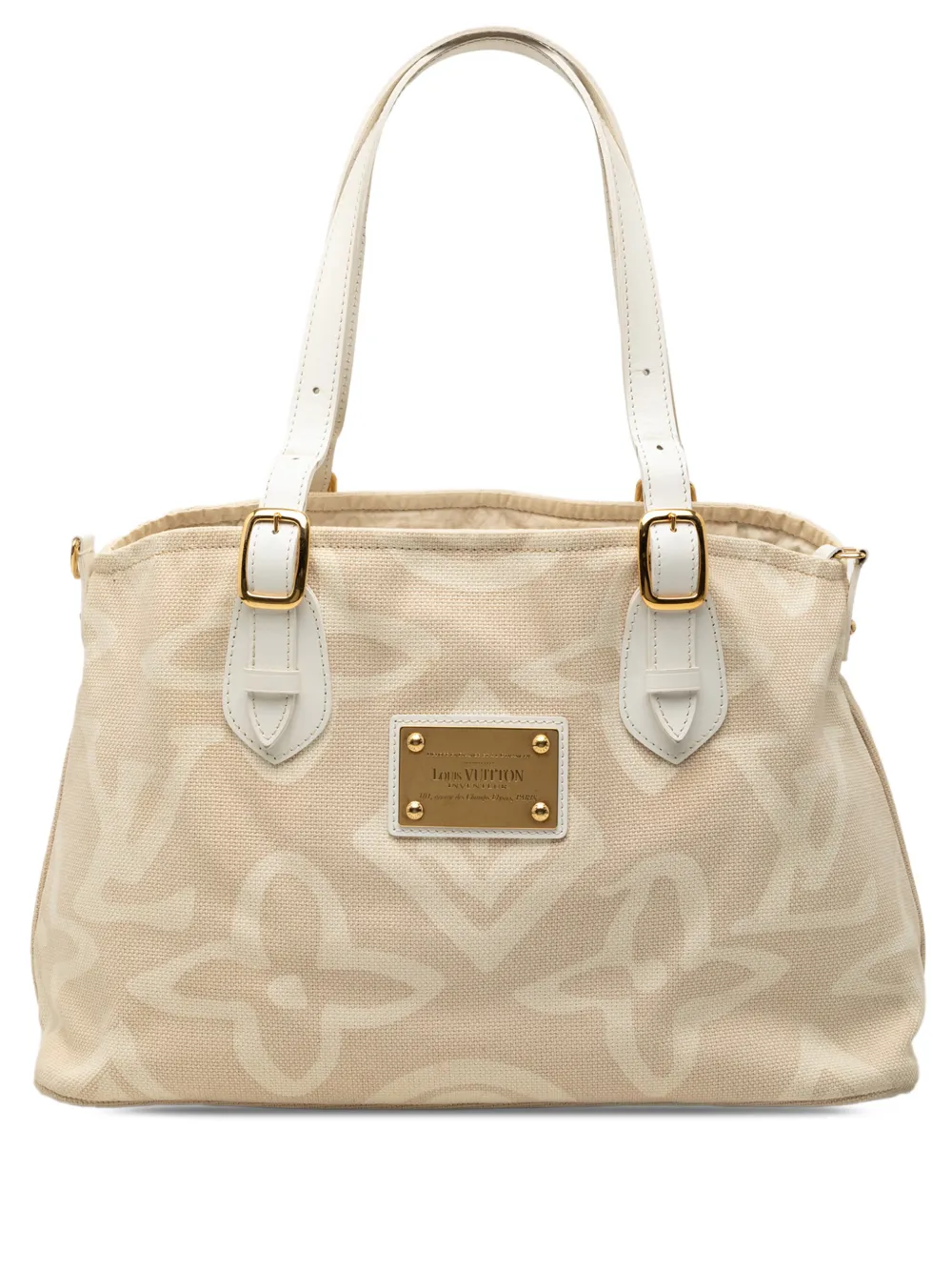 Louis Vuitton Pre-Owned 2008 Monogram Tahitienne Cabas PM tote bag - Marrone