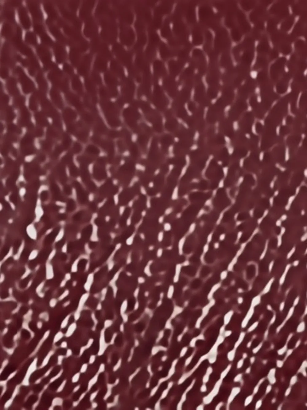 Stella McCartney Sandalen met kruisbandjes en hak Rood