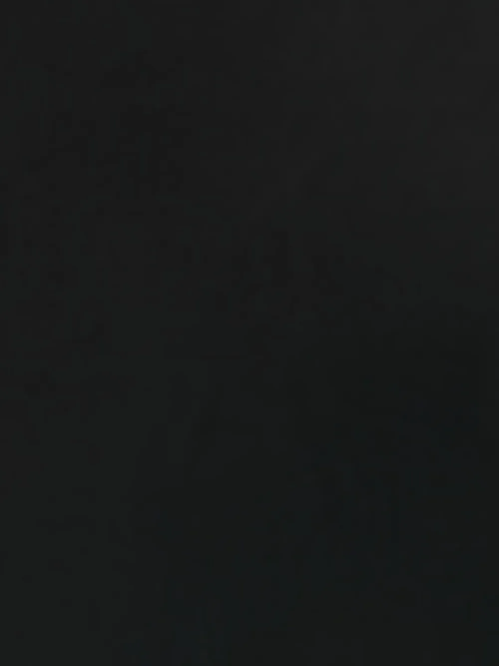 Stella McCartney Pumps met puntige neus Zwart