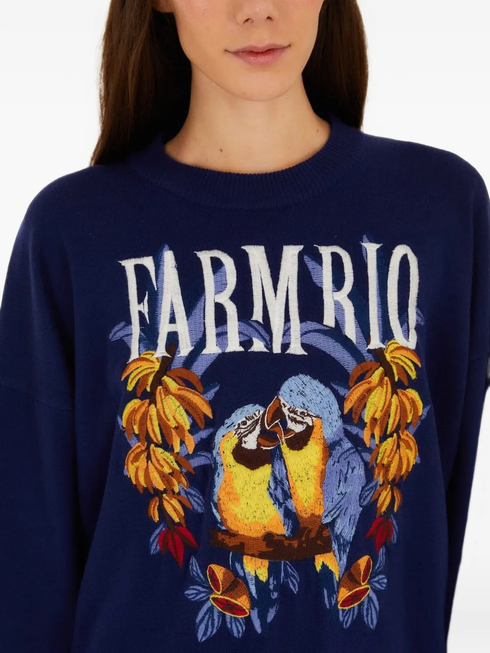 FARM Rio Love Birds gebreide intarsia trui met geborduurd logo Blauw