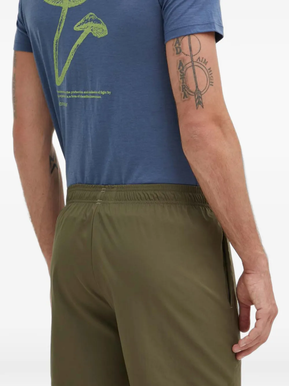 adidas Trainingsshorts met logo Groen