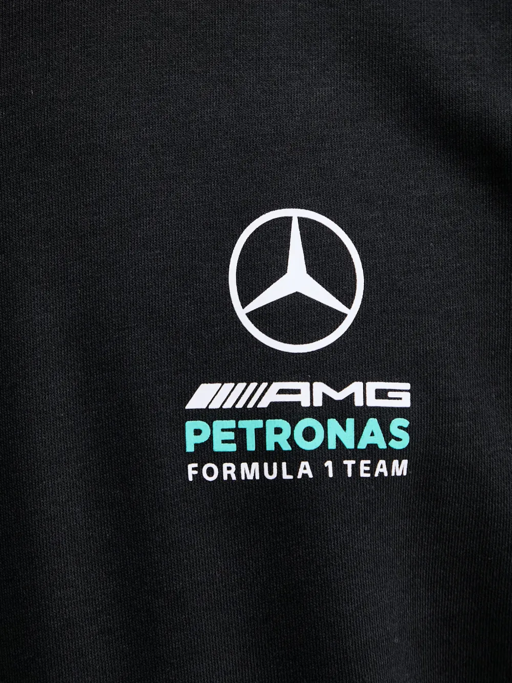 adidas Mercedes-AMG Petronas Formula 1 Team DNA sweatshirt Zwart