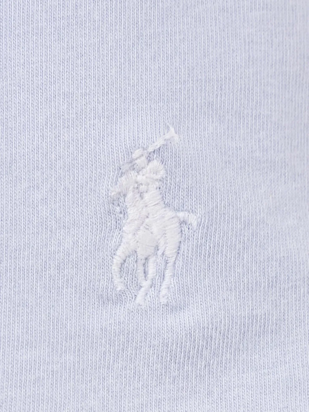 Polo Ralph Lauren T-shirt met borduurwerk Blauw