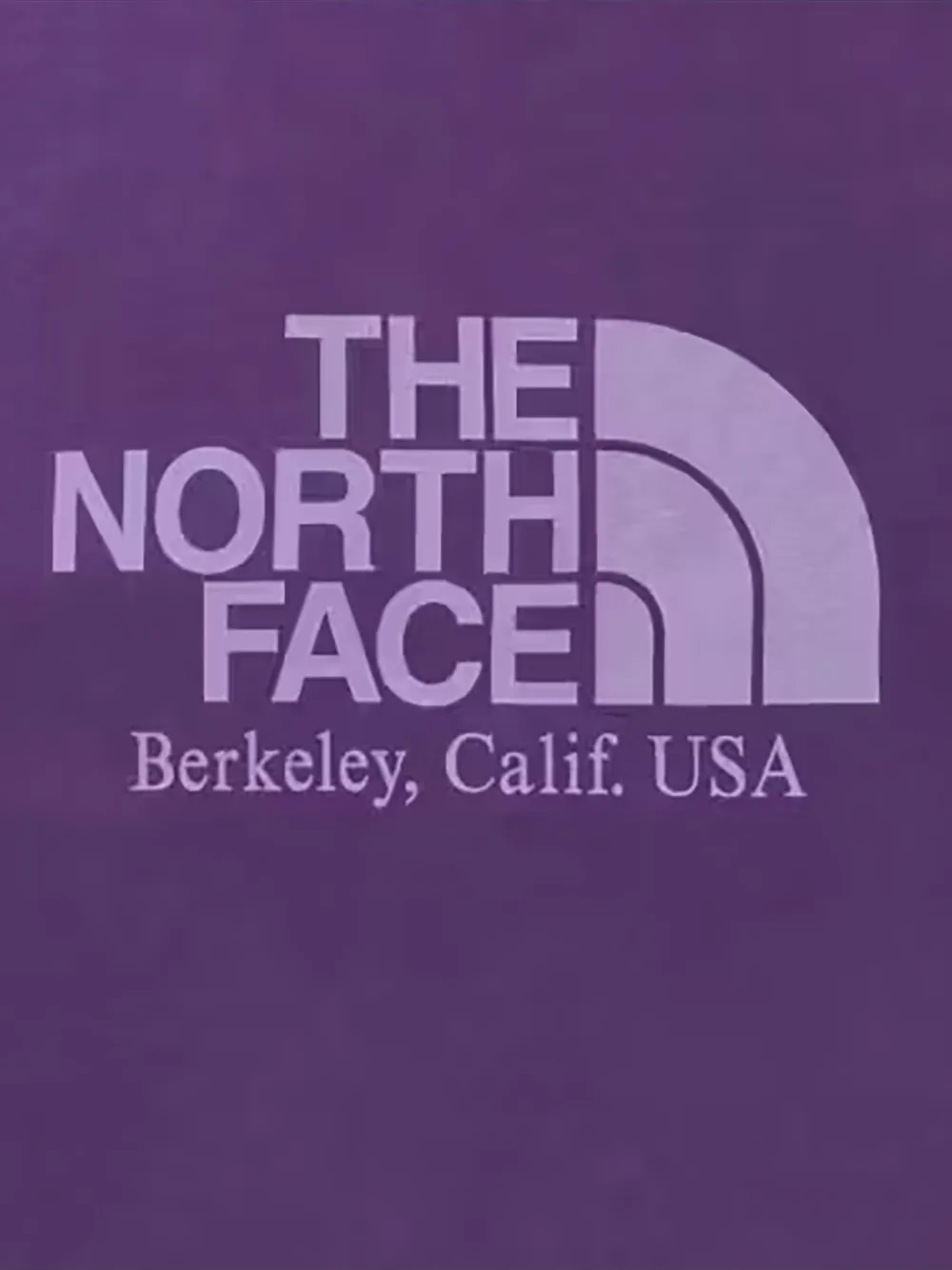 Palace x The North Face Purple Label Field T-shirt met grafische print Paars