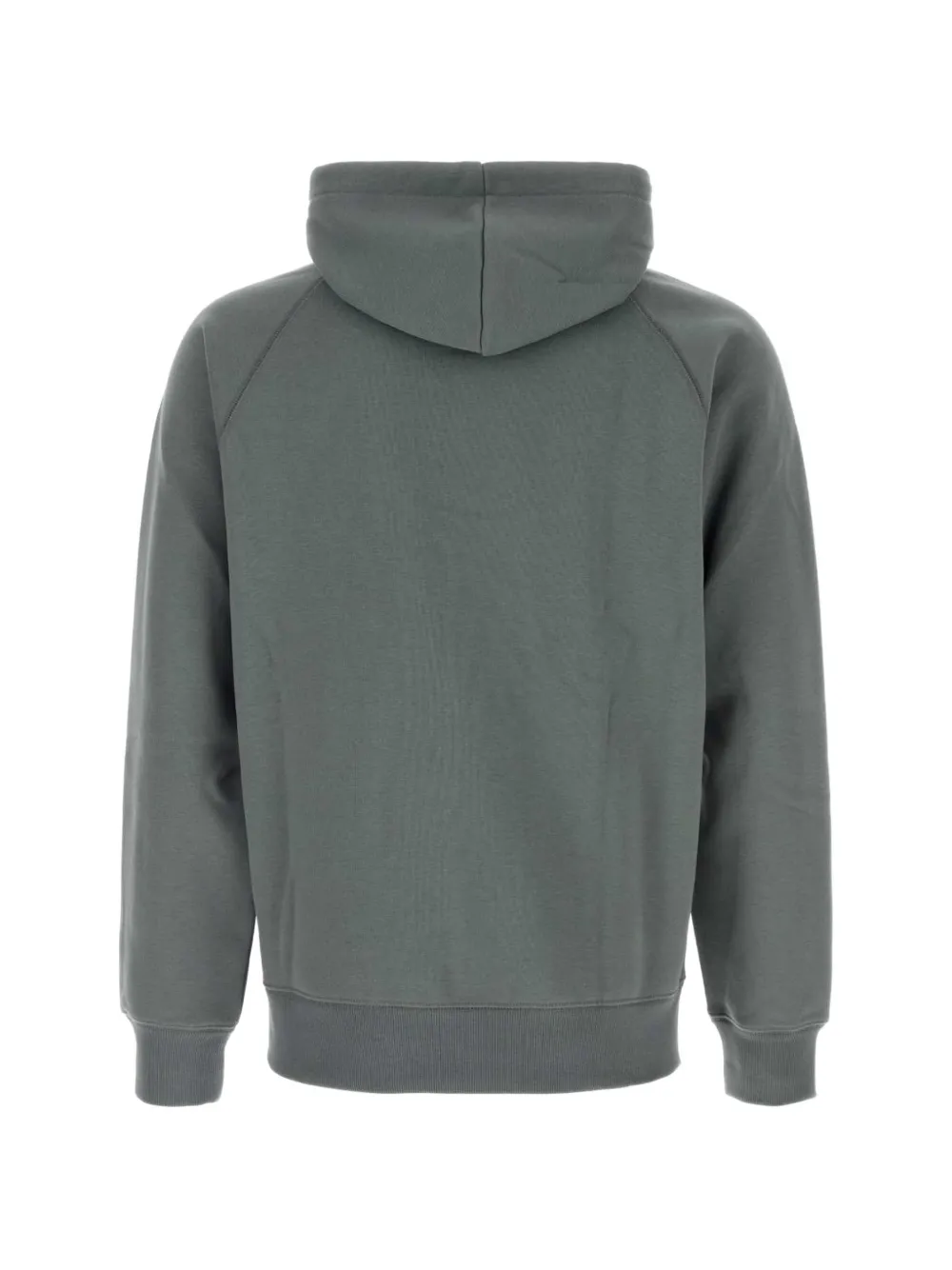 Carhartt WIP Sweater met capuchon Groen
