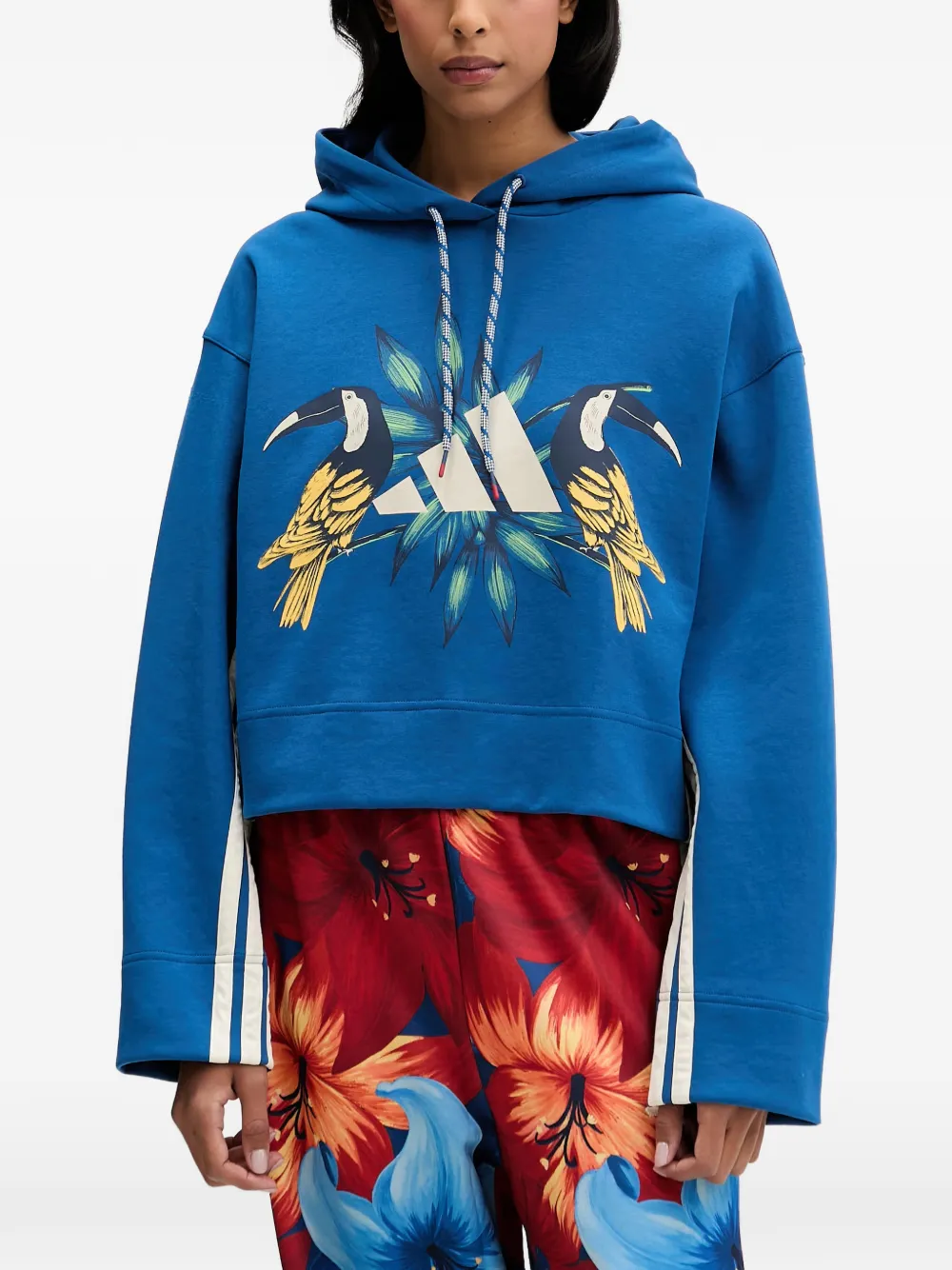 adidas Hoodie met vogelprint en streep Blauw