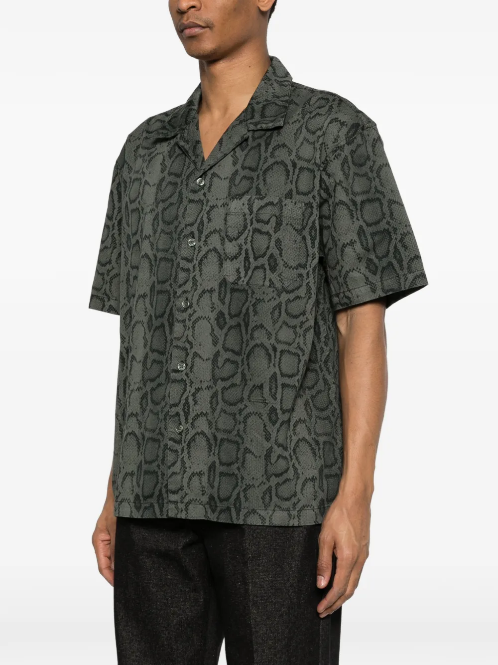 Carhartt WIP Overhemd met slangenprint Groen