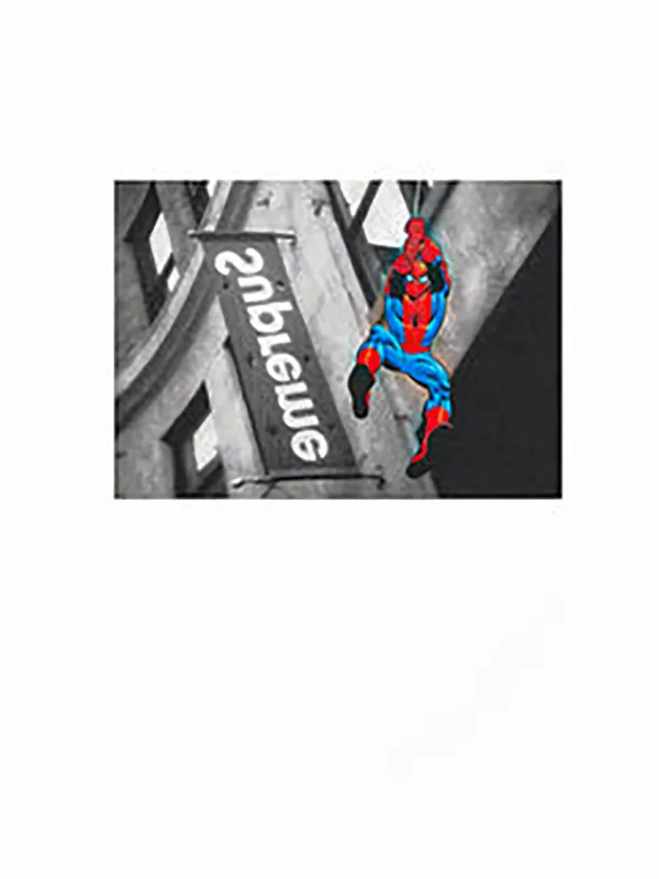 Supreme Spider-Man T-shirt | White | FARFETCH CA