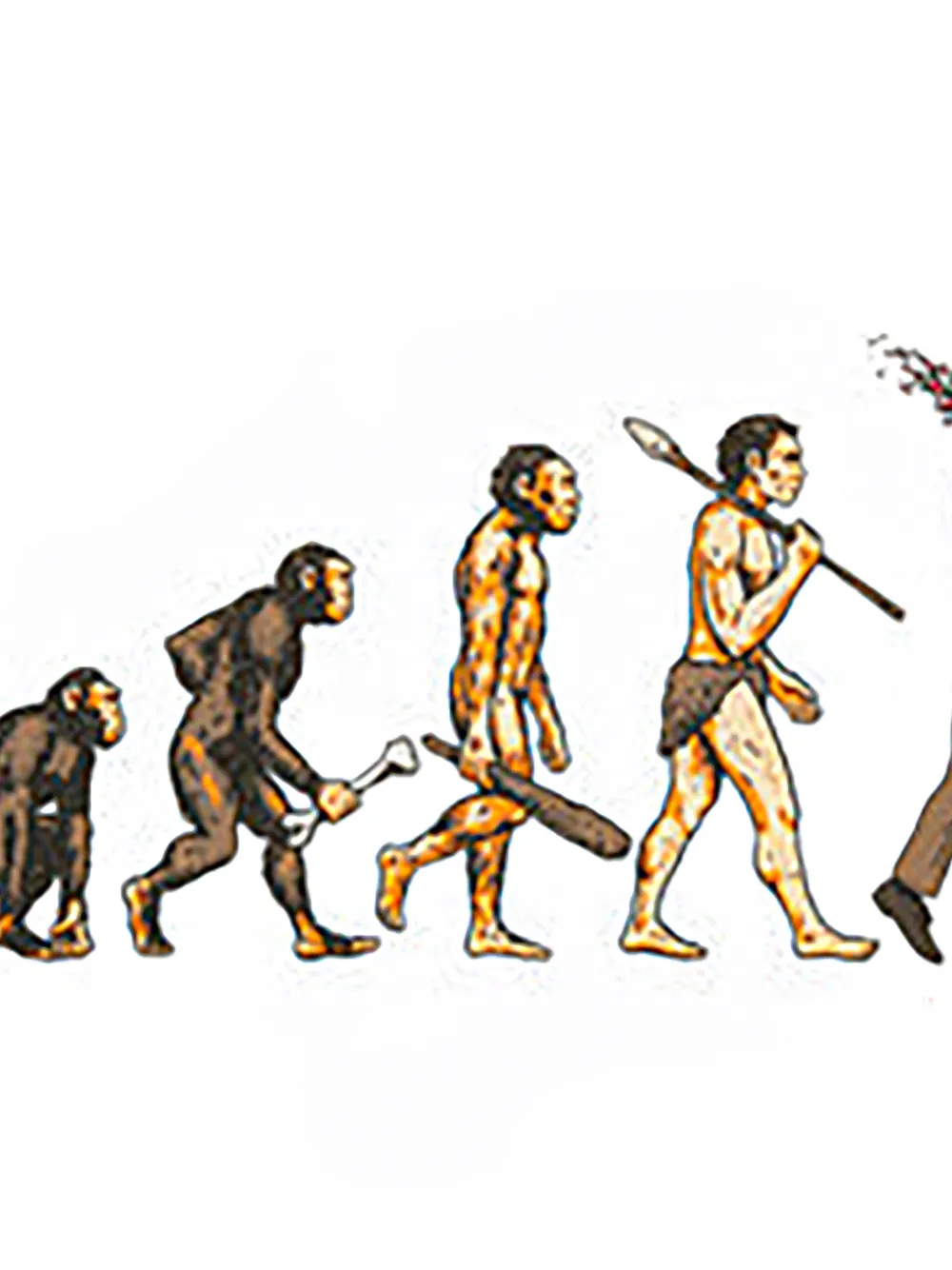 Supreme Evolution cotton T-shirt Wit