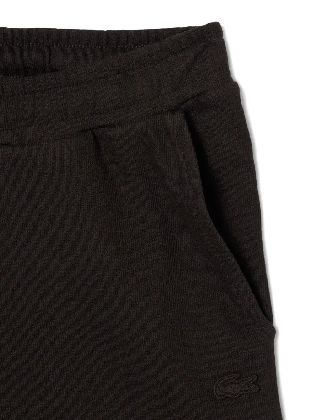 Lacoste Shorts met geborduurd logo Bruin