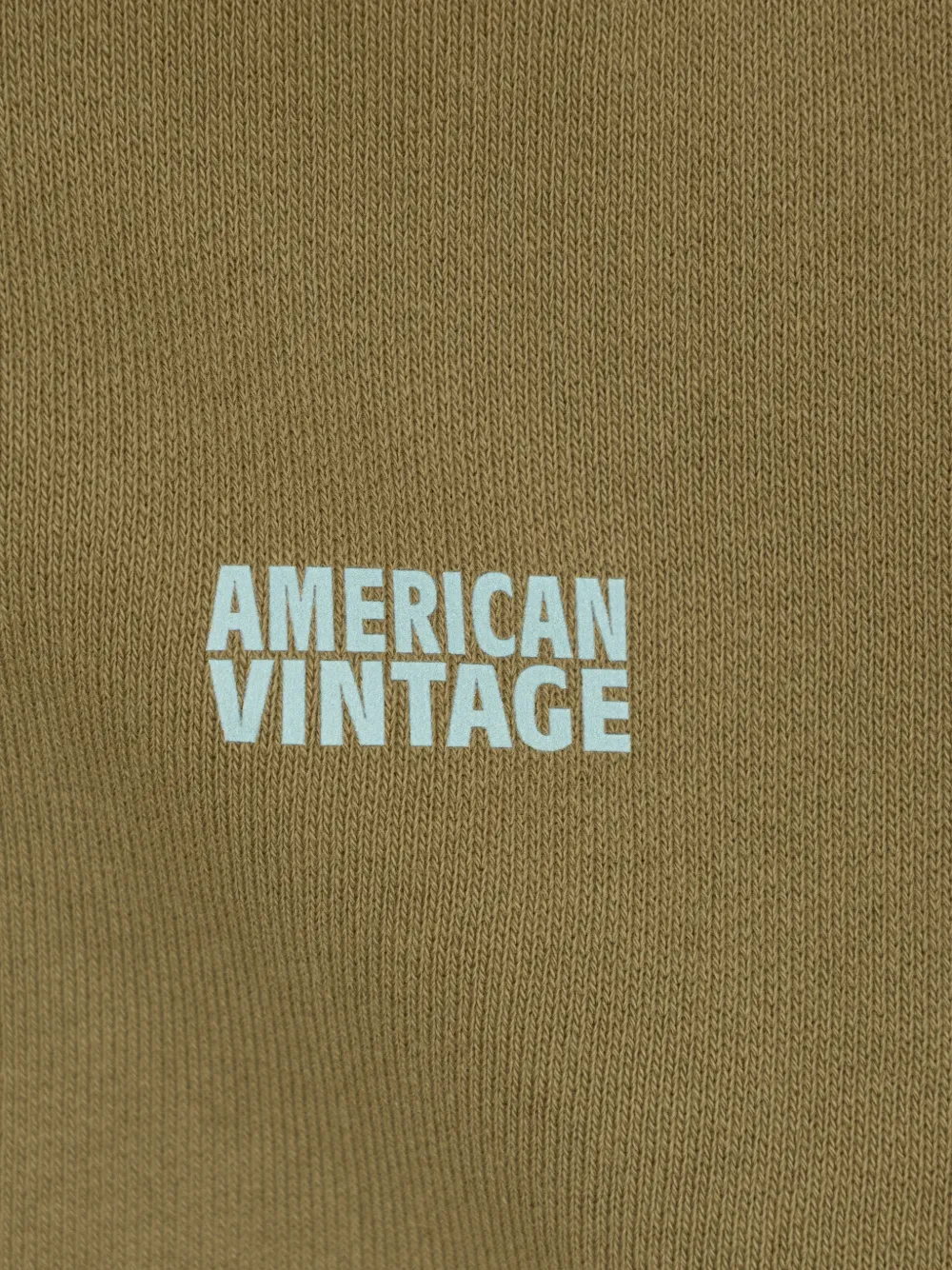 American Vintage Kids Izubird sweater met ritssluiting en capuchon Groen