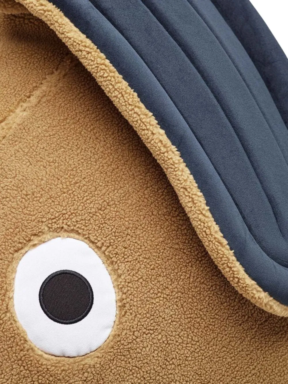 Cheeky Teddy Pillow
