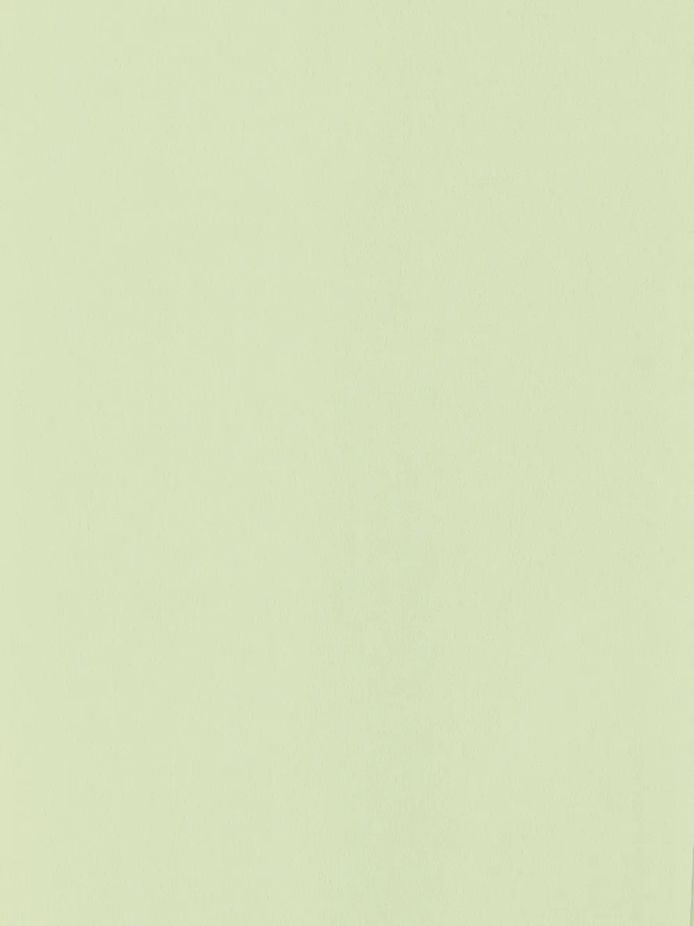  Nº21 Foulard Tuch - Verde 