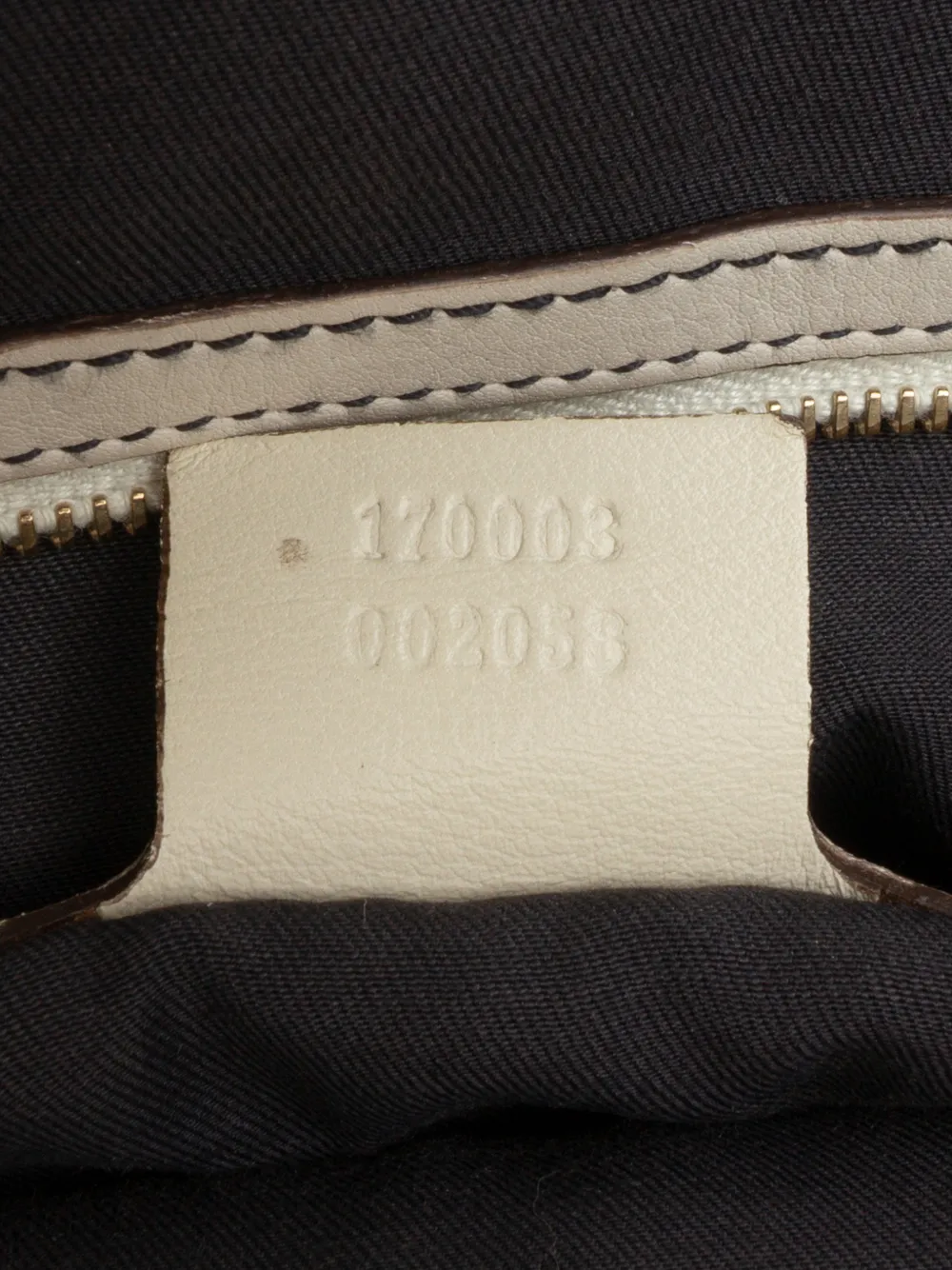2016-2025 Gg Canvas Web Crossbody Bag