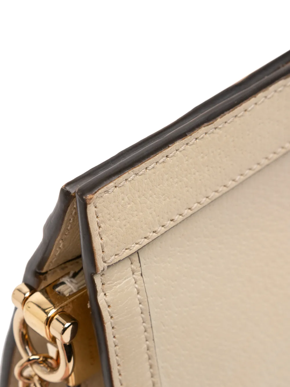 2016-2026 Small Calfskin Web Ophidia Chain Crossbody Bag