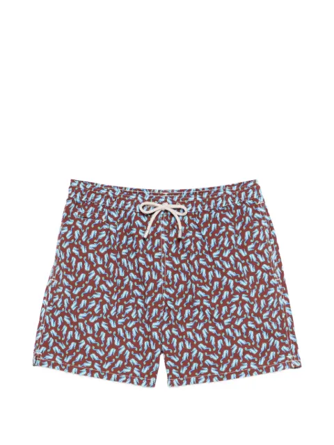 MC2 Saint Barth shorts playa con caballitos de mar estampados