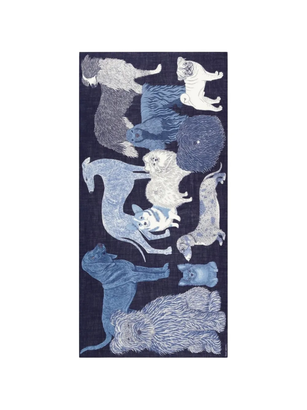 Inoui Editions print scarf - Blu