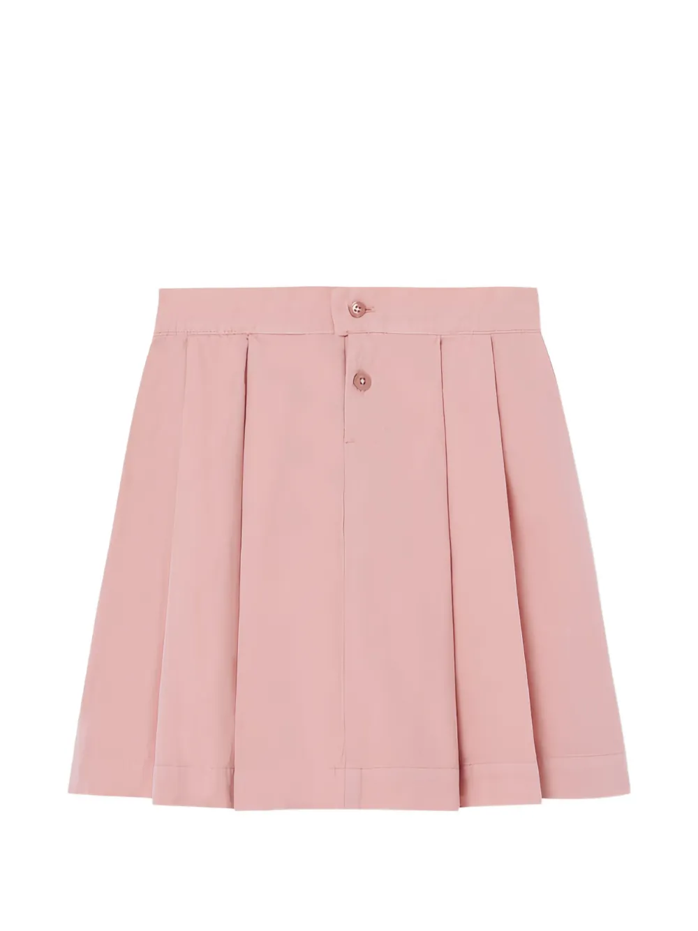 Pleated Embroidered Skirt