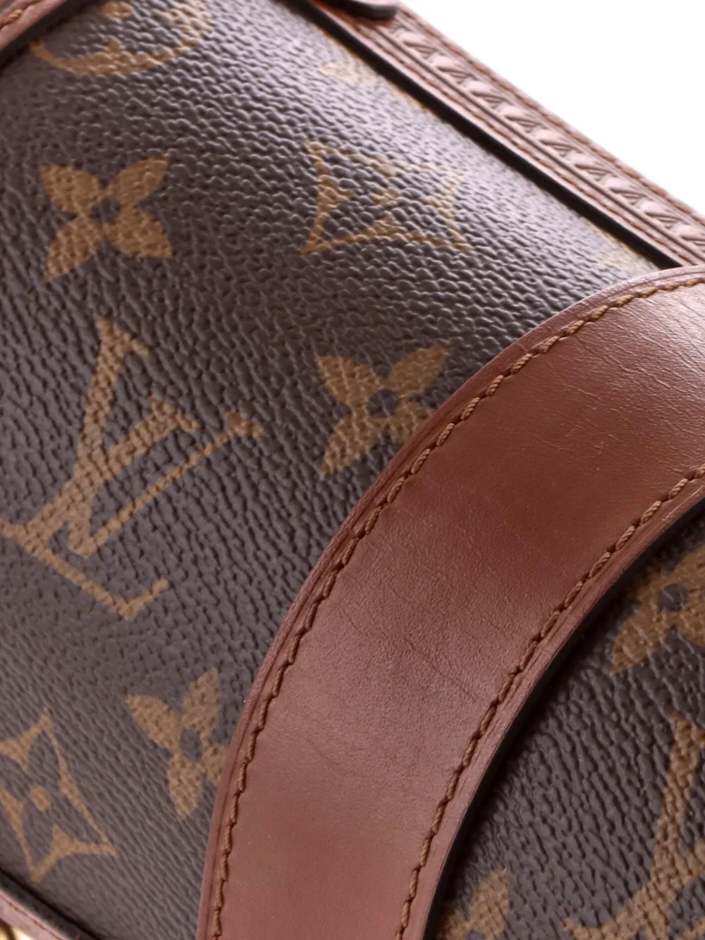 Papillon Trunk Bag Monogram Canvas Shoulder Bag