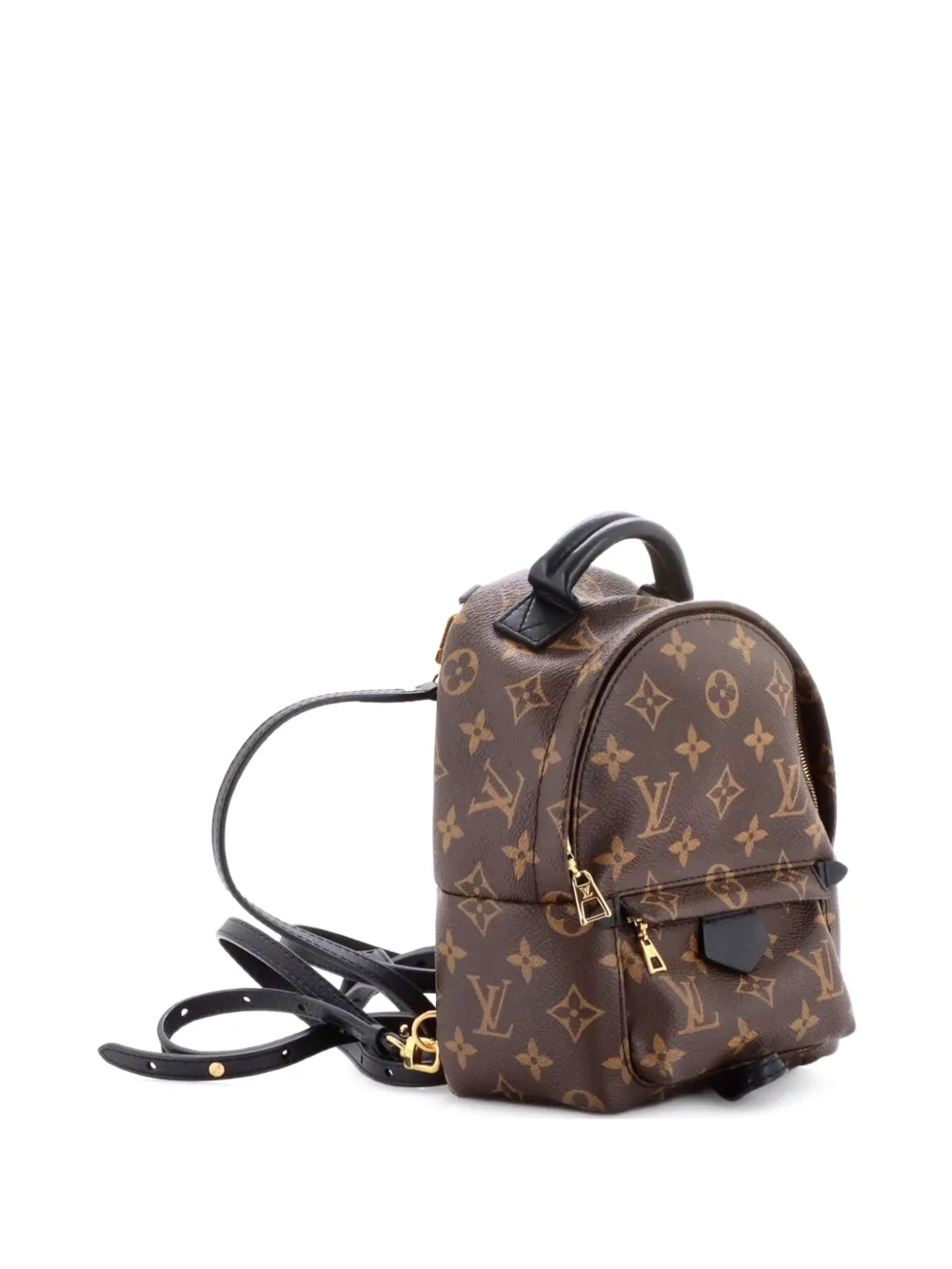 Louis Vuitton Pre-Owned Palm Springs Monogram Canvas Mini backpack - Marrone