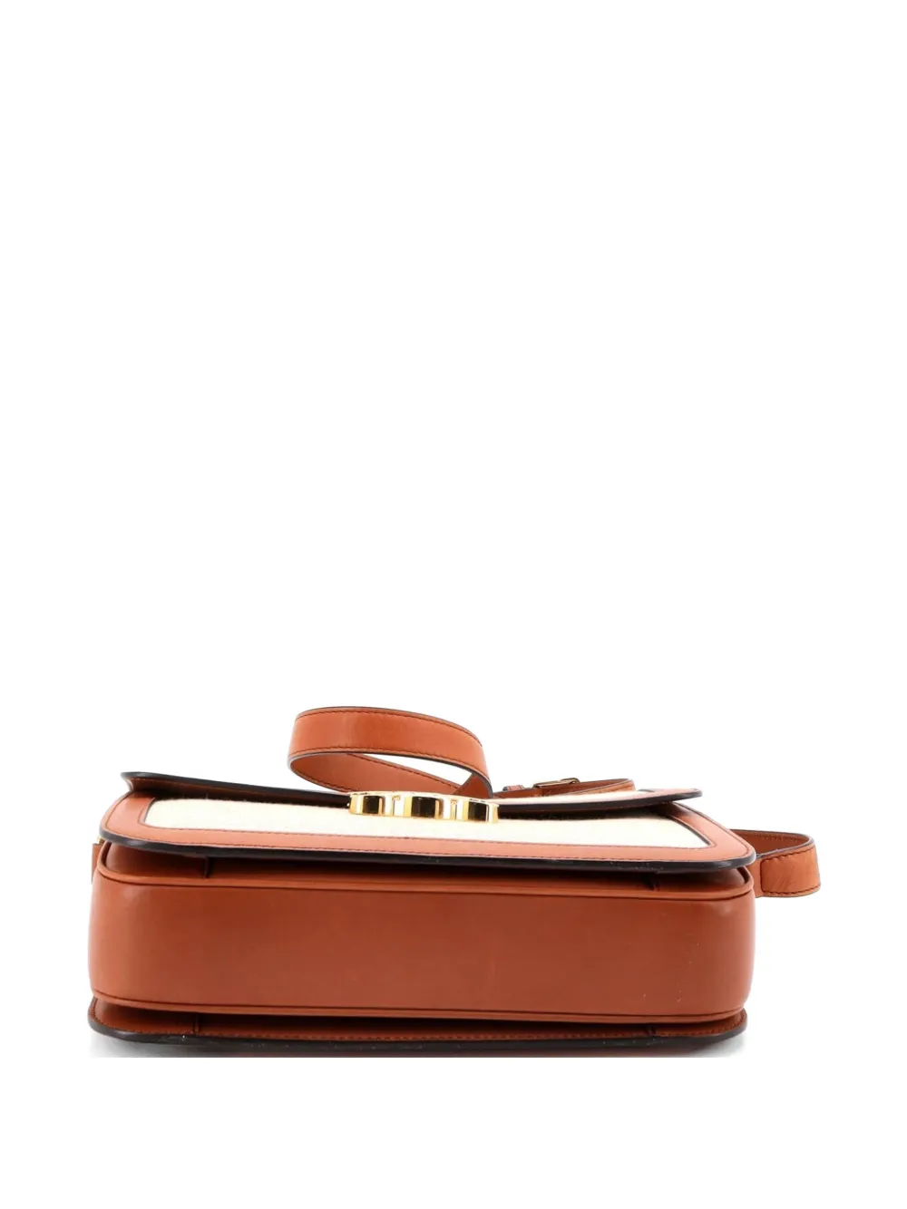Triomphe Shoulder Bag Canvas With Leather Medium Crossbody Bag