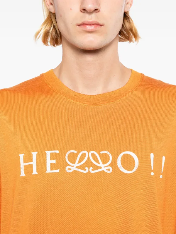 Igreenengineering Anagram ロエベ t シャツ LOEWE ロエベ Tシャツ