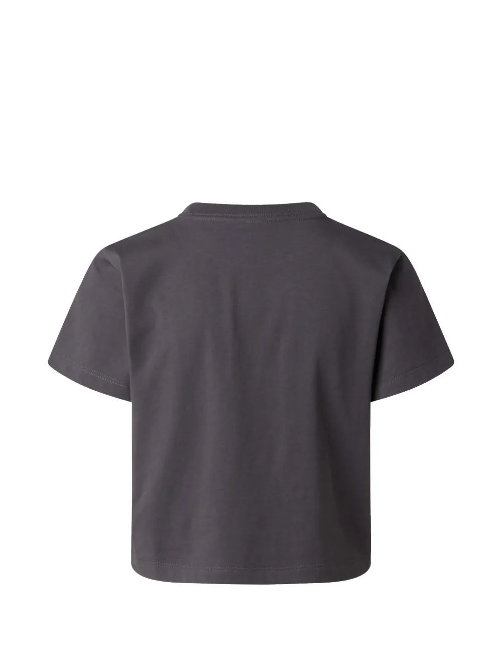 The North Face T-shirt met logo Grijs