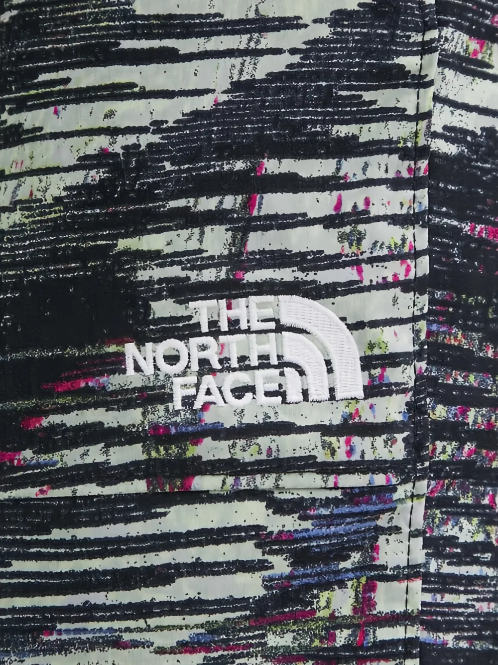 The North Face Shorts met print Zwart