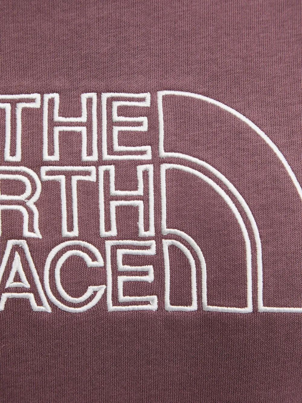 The North Face Drew Peak Light drawstring hoodie Paars