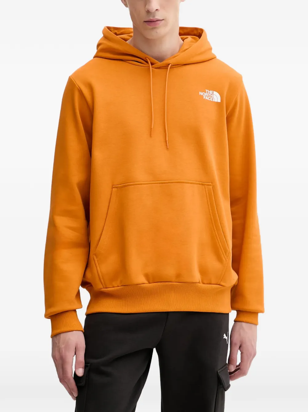 The North Face Simple Dome drawstring hoodie