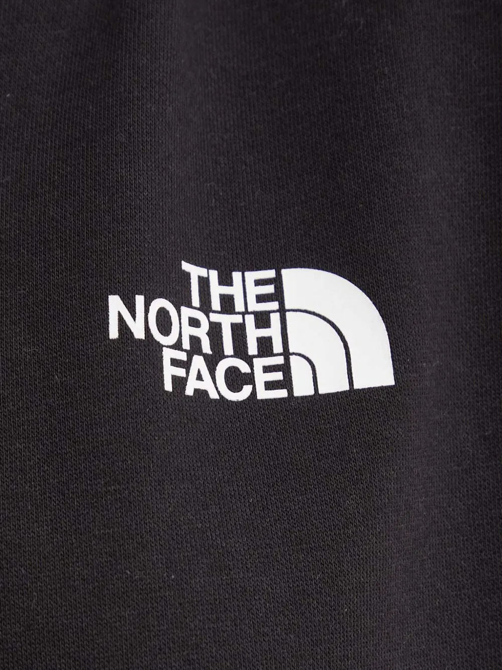 The North Face Hoodie met logo Zwart