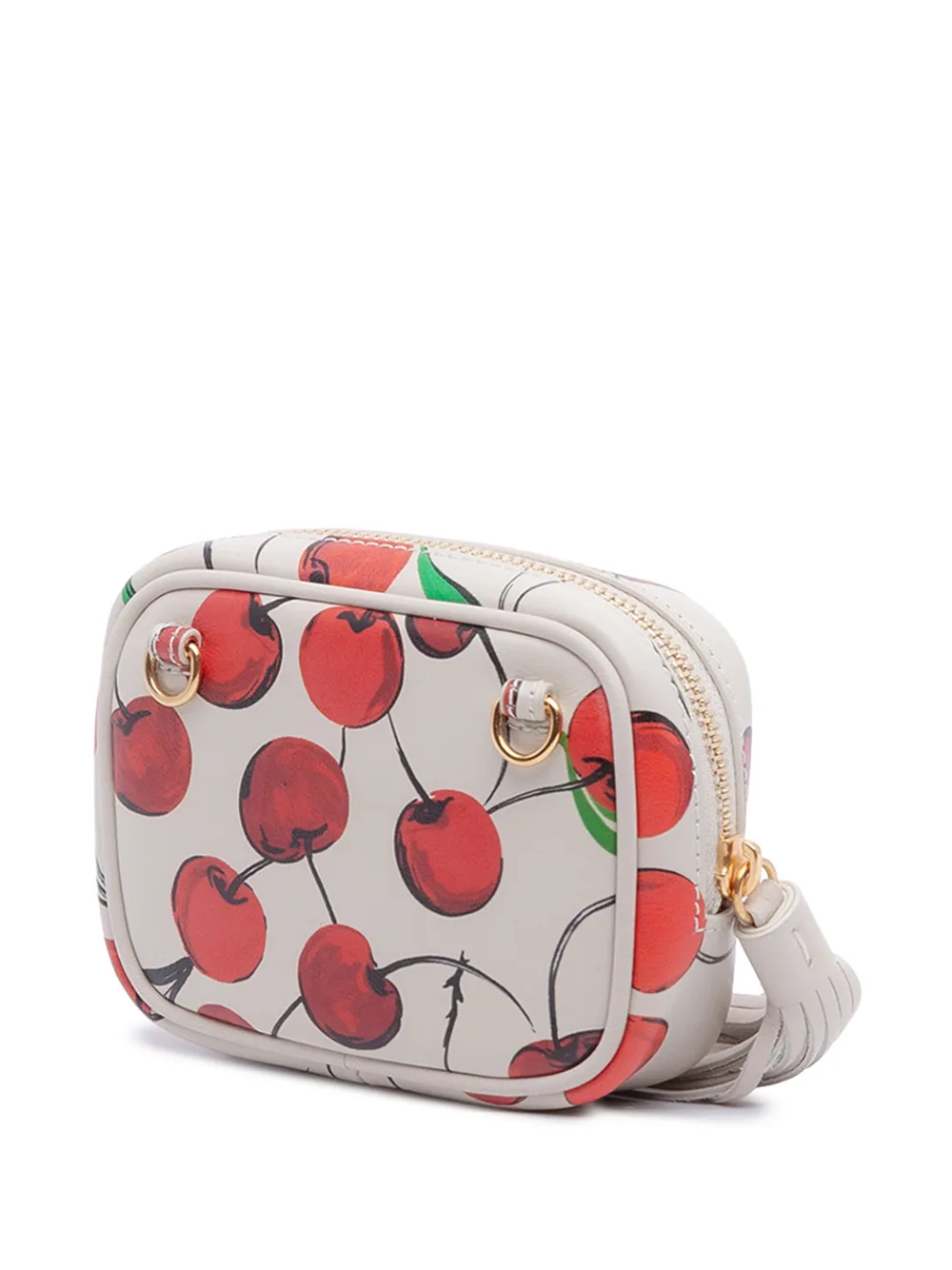 2020 Baby Calfskin Monogram Cherry Printed Lou Camera Bag Crossbody Bag