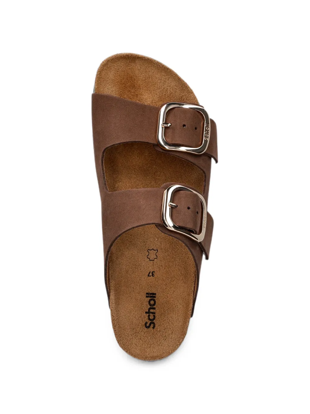 Scholl NOELLE buckle-fastening slides Bruin