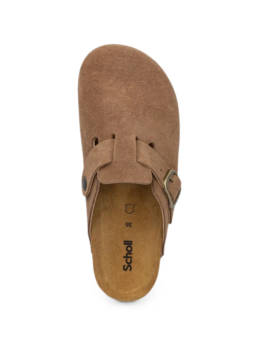 Scholl buckle-fastening suede clogs Bruin