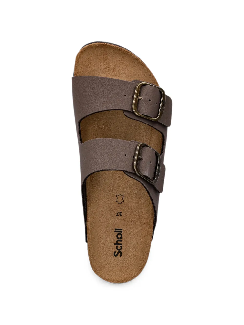 Scholl JOSEPHINE buckle-fastening double-strap slides Bruin