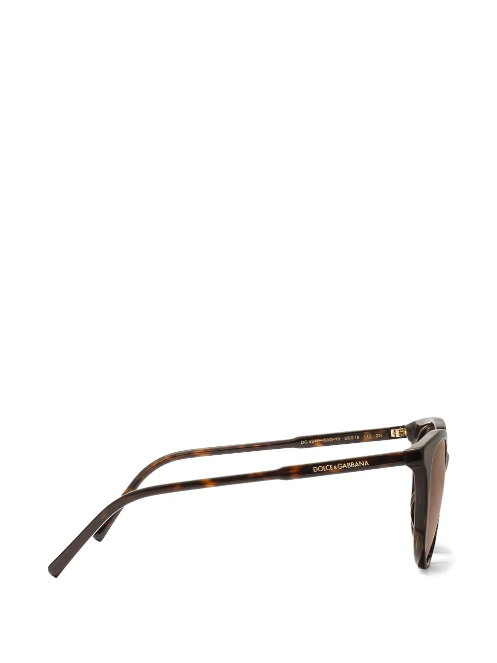 Dolce & Gabbana Eyewear Everyday zonnebril Bruin