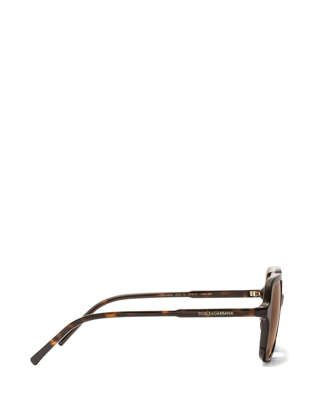 Dolce & Gabbana Eyewear DG Everyday zonnebril Bruin