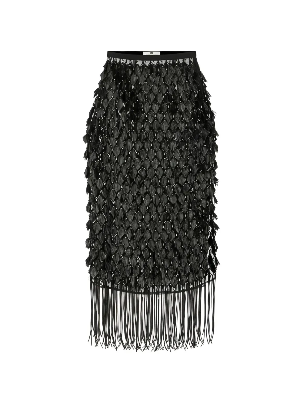 Elisabetta Franchi 3D embroideries fringed midi skirt - Nero