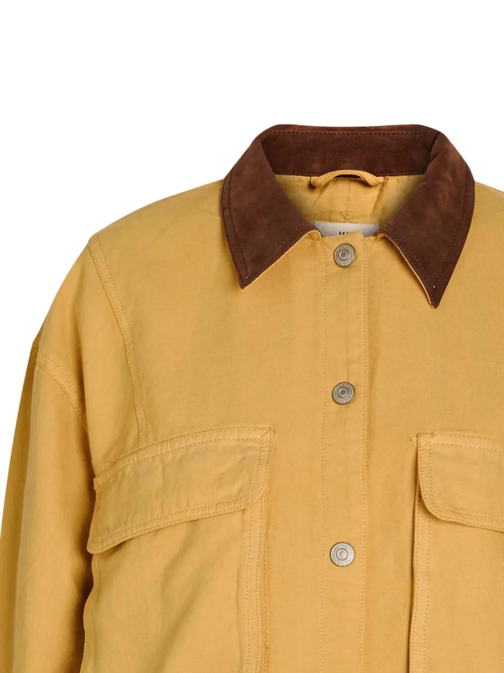 Yellow Jacket
