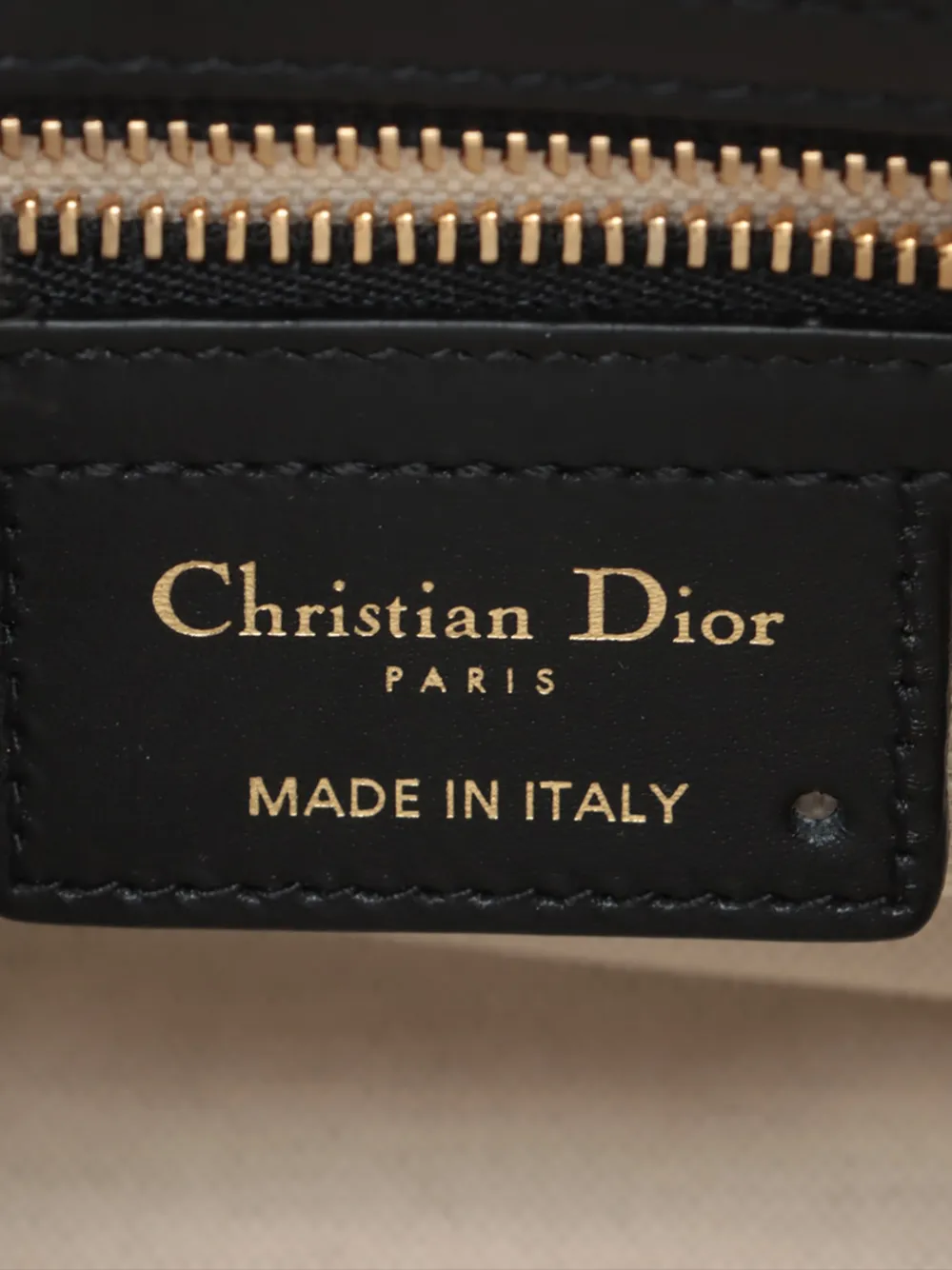 2021-2025 Small Leather Tiger Dior Vibe Zip Bowling Bag Satchel