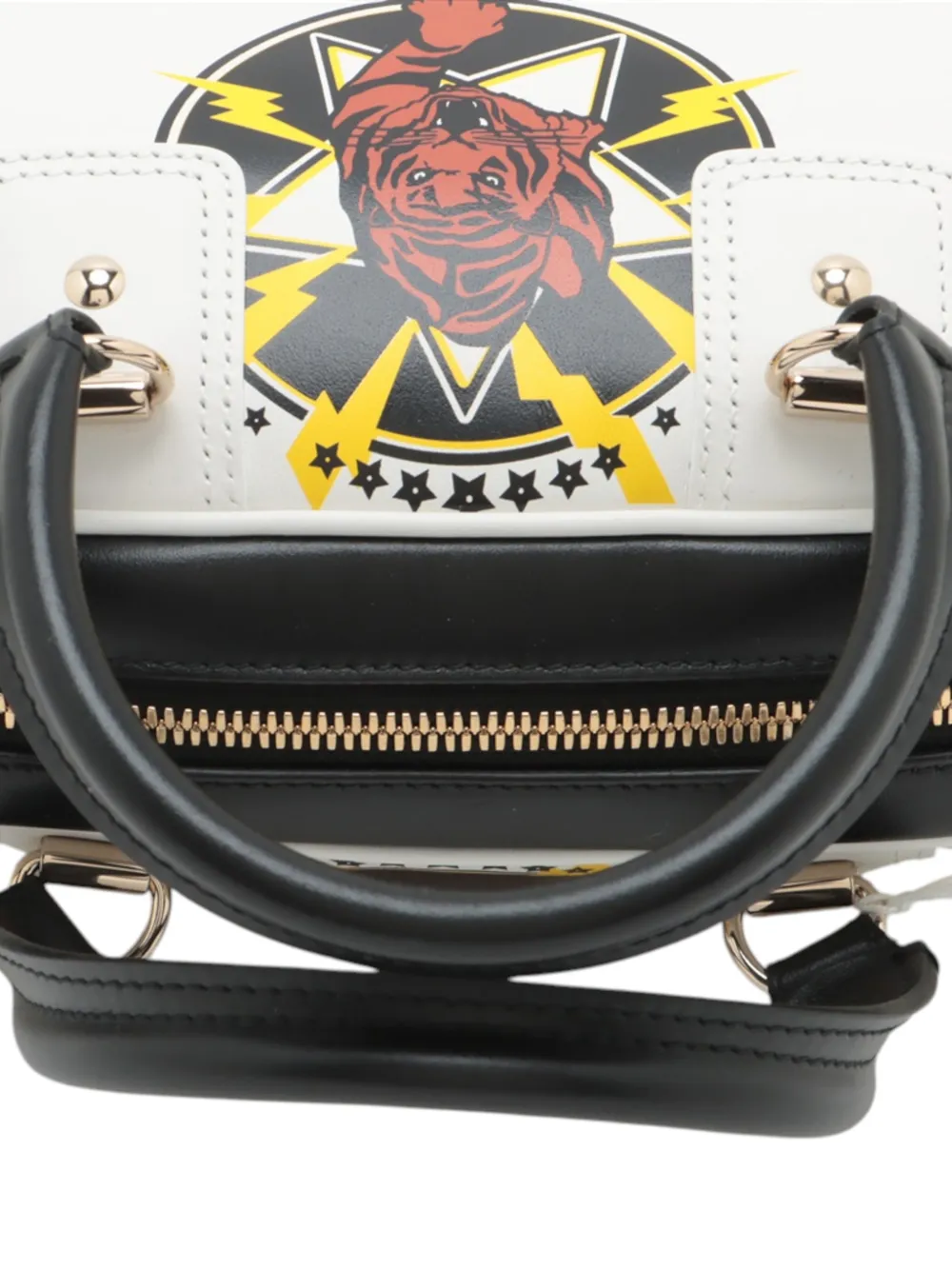 2021-2025 Small Leather Tiger Dior Vibe Zip Bowling Bag Satchel