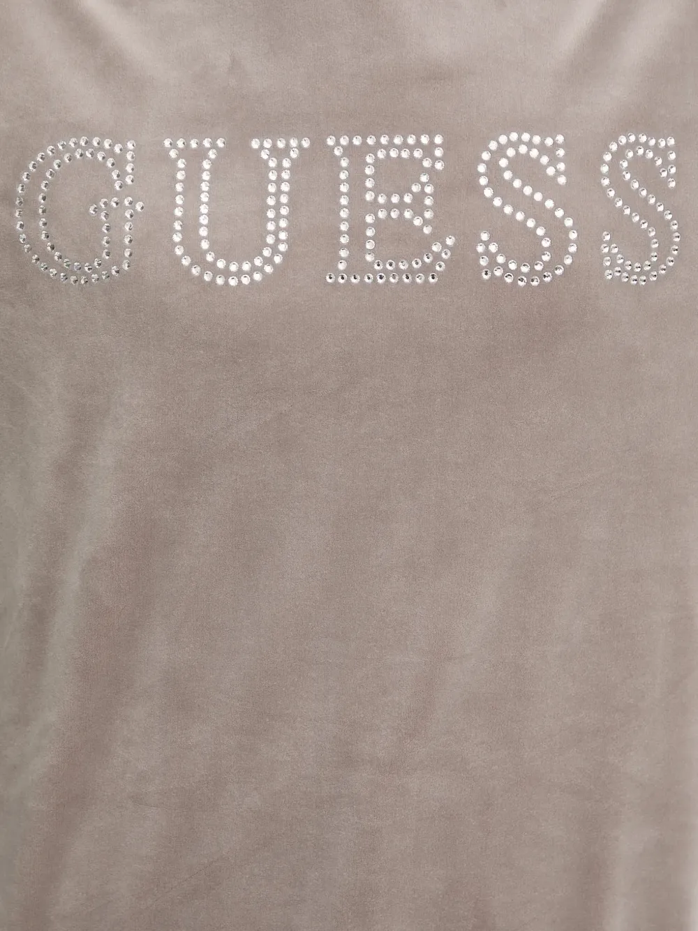 GUESS USA Verfraaide hoodie Beige
