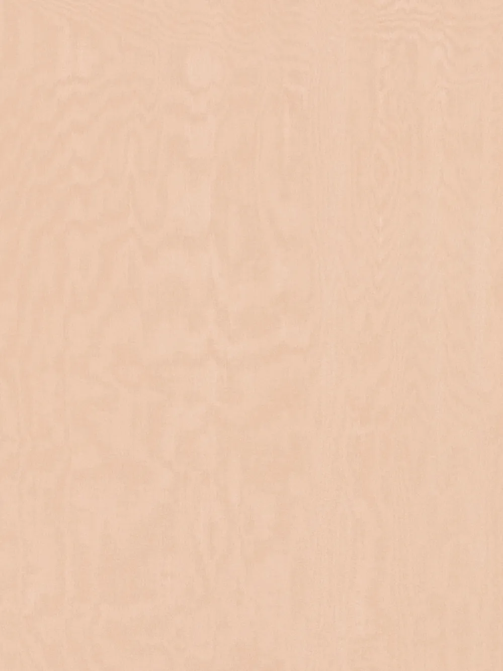 Alysi Sjaal met doorzichtige afwerking Beige