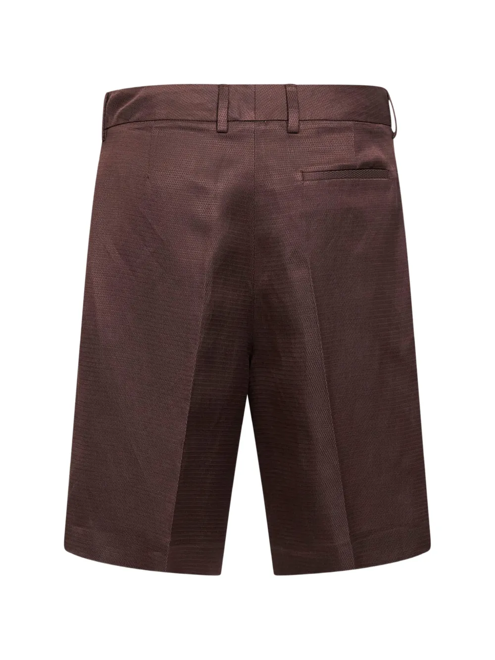  Pt Torino Pleated Shorts - Brown 
