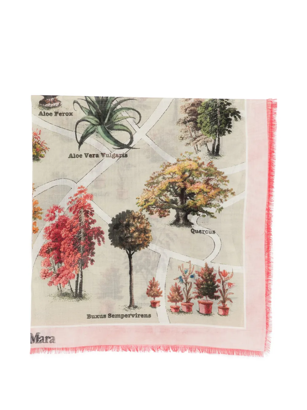 Max Mara MXACAMICE scarf - Toni neutri