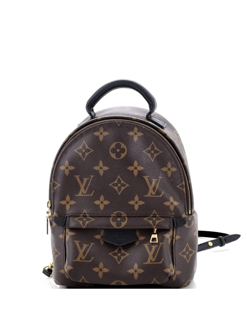 Louis Vuitton Pre-Owned Palm Springs Monogram Canvas Mini backpack - Marrone