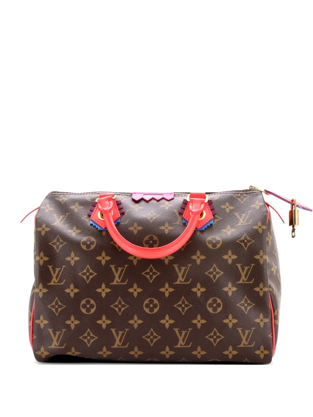 Louis Vuitton Pre-Owned Speedy Handbag Limited Edition Totem Monogram Canvas with Leather 30 satchel - Braun